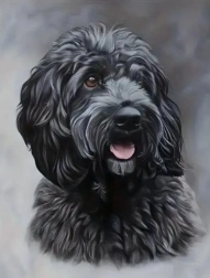 Pictură cu diamante cockapoo negru 30 × 40 cm
