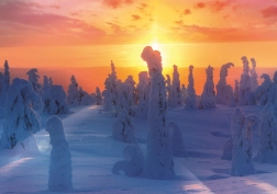 Puzzle Natura finlandeză 1000 piese