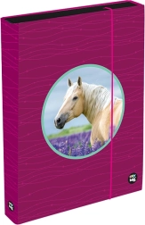 Cutie pentru caiete A4 Jumbo OXY Sherpy Pink
