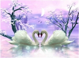 pictură cu diamante Dragostea lebedei 30 × 40 cm