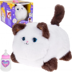 Pisicuța Interactivă Puszek - miaună, toarce și mișcă ochii