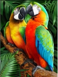 Mozaic cu diamante (diamond painting) papagali colorați 30 × 40 cm