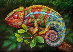 Cherry Pazzi Puzzle Cameleon 1000 piese