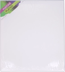 Pânză de pictură 40 × 50 cm