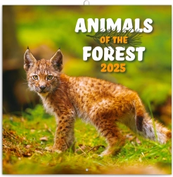 Calendar notițe Animăluțe din pădure 2025, 30 × 30 cm