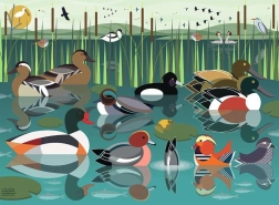 Puzzle păsări acvatice 500 piese