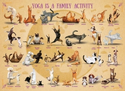 Puzzle Yoga XL 500 piese
