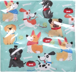 Șervețele de petrecere PES 33x33 cm, 20 buc