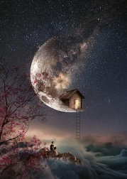 Puzzle Șoapte de vis 1000 piese