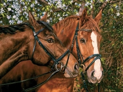 Puzzle Prieteni pentru totdeauna XL 275 piese de la Cobble Hill