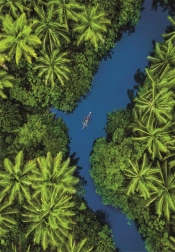 Puzzle cu vedere tropicală din perspectivă aeriană