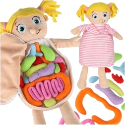 Păpușă anatomică din pluș pentru copii Montessori