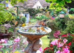 Puzzle Păsări de vară 1000 de piese