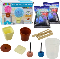 Set educațional Cultivarea arborelui magic de cristal