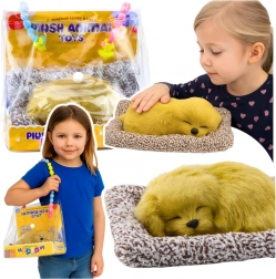 căţeluş labrador adormit pe perniţă cu blăniţă pufoasă în gentuţă de transport