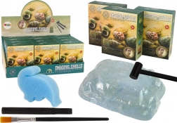Set arheologic – săpături de scoici, 3 modele surpriză