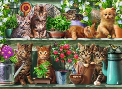 Puzzle Pisici pe rafturi 500 piese