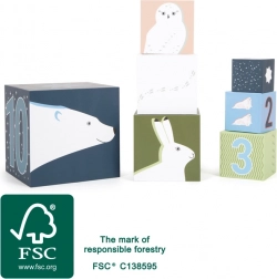 Cuburi pentru stivuire Arctic pentru copii