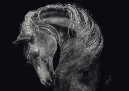 Puzzle Puterea calului 1000 piese