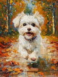Pictură cu diamante bichon maltez 30 × 40 cm