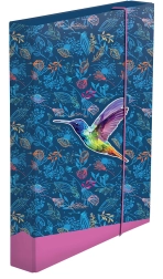 Cutie pentru caiete A4 jumbo – colibri
