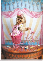 Puzzle Visătorul călător 500 piese