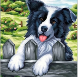 Broderie cu diamante (diamond painting) tablou „Câine pe gard” 30 × 30 cm - 1 bucată