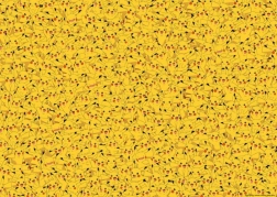 Puzzle Poke9mon Pikachu 1000 piese
