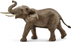 Elefant african - mascul