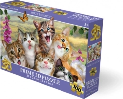 Puzzle 3D Pisici Zâmbitoare, 100 piese