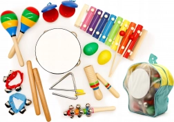 Set muzical 10 instrumente pentru copii cu rucsac ECOTOYS