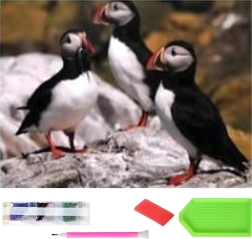 Pictură cu diamante XXL 120 × 60 cm – puffini, set pentru mozaic