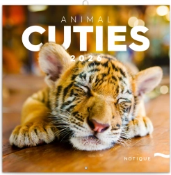 Calendar de notițe Pui 2026