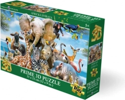 Puzzle 3D Zâmbet african 63 piese