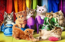 Puzzle EUROGRAPHICS Mândria pisicilor 1000 de piese