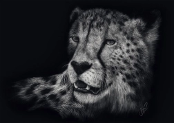 Puzzle Viteza ghepardului 1000 piese SCHMIDT