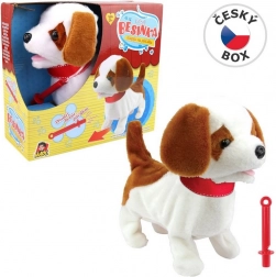 Căţeluşa Besinka cu fluier