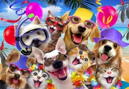 Puzzle Alipson Selfie petrecere la plajă 1000 de piese