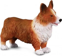 Figurină Welsh Corgi de la CollectA