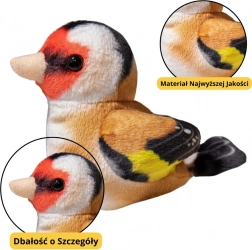 Mică Pasăre De Pluș Albastru Pițigoi