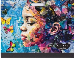 Dosar pentru desene A3 PICASSO Artist