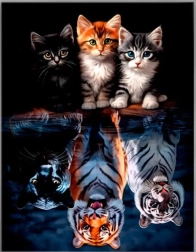 Pictură cu diamante – pisici și feline 30 × 40 cm