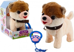 Căţel interactiv pe lesă