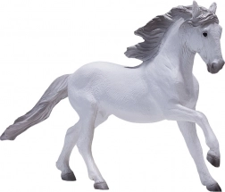 Mojo Cal Lusitan alb