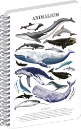 Bloc spiral NOTIQUE Animalium „Sub mare” A5, cu linii