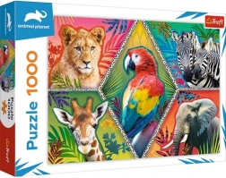 Puzzle 1000 piese animale exotice ANIMAL PLANET