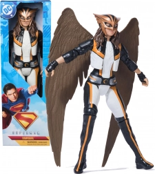 DC COMICS HAWKGIRL figură de acțiune 30 cm