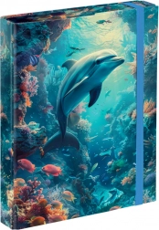 Dosare pentru caiete școlare BAAGL Delfin A5