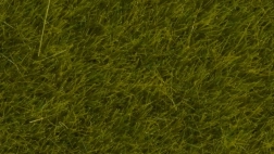 Iarbă statică Pajiște sălbatică 6 mm