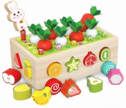 Sorter din lemn cu morcovi și cărucior